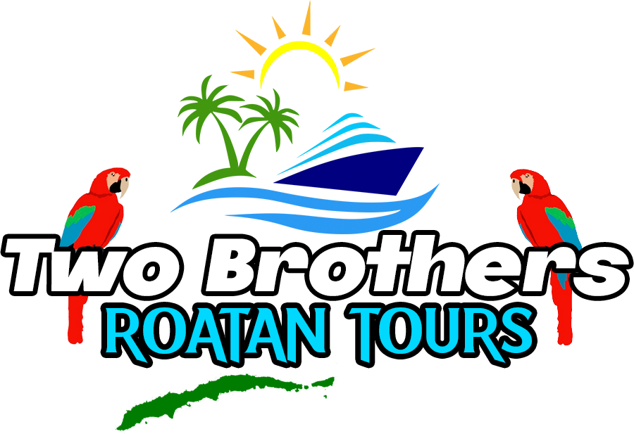 Two Brothers Roatán Tours